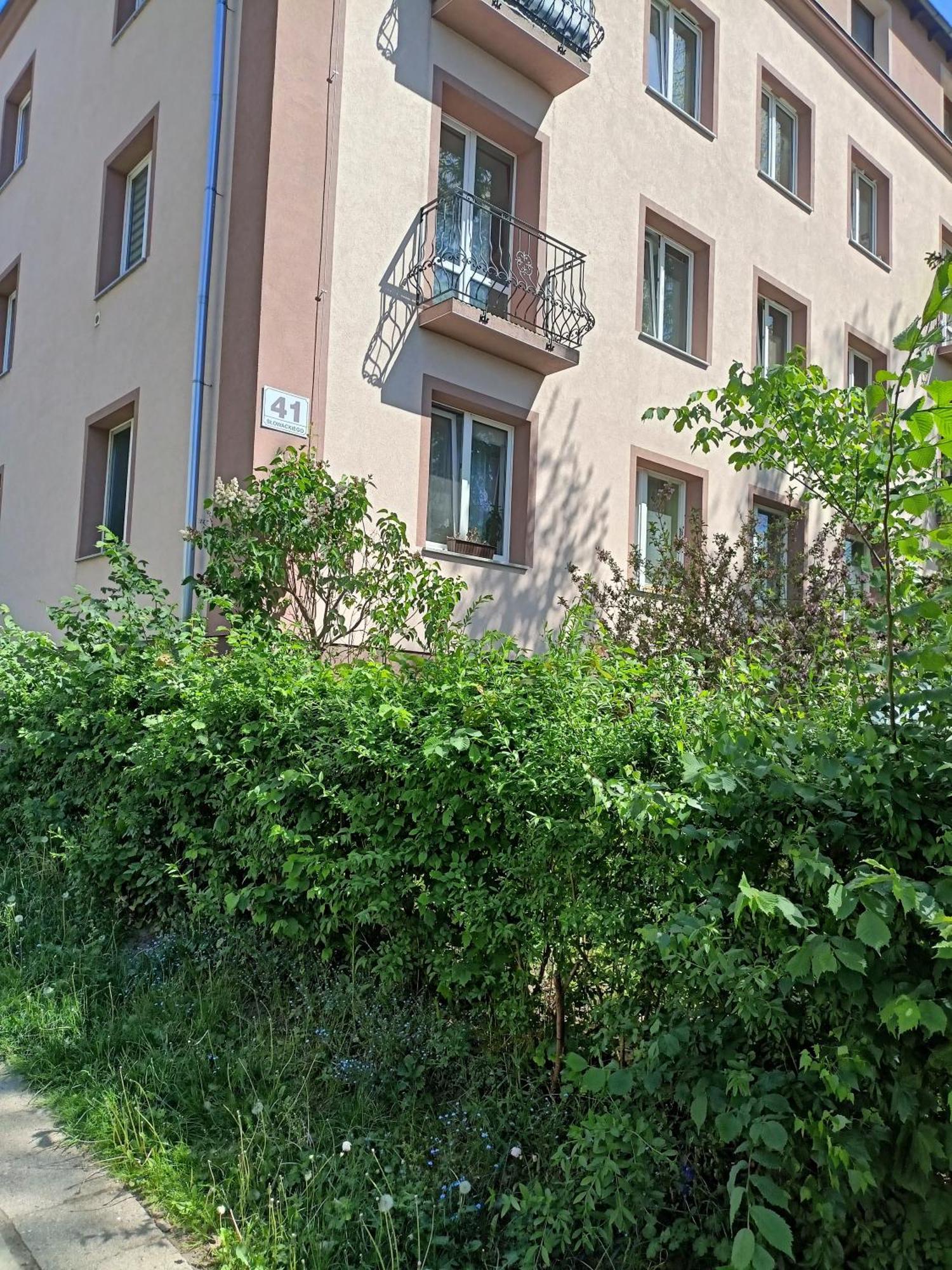 Apartament Slowackiego 41 Jelenia Gora Dış mekan fotoğraf